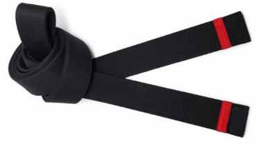 American Kenpo Karate